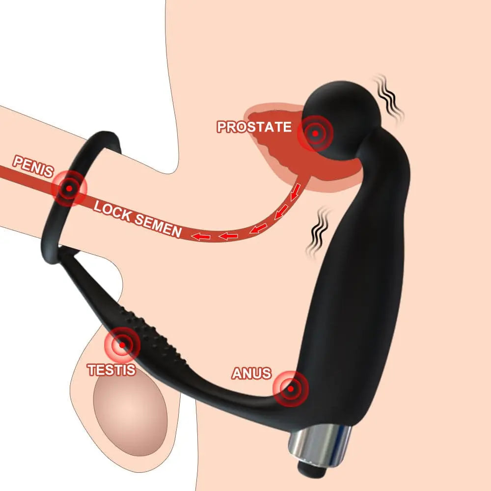 3 In1 Anal Vibrator & Finger Vibrator mit Penis Stimulation ——  Fierce Expansion Sweetstoy