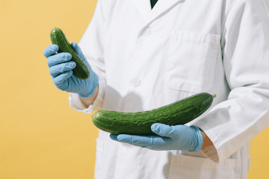 Person in a white coat and blue gloves holding two cucumbers