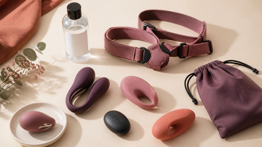 Inclusive flat lay of adult wellness devices, remote, harness and storage pouch