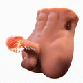 Herbert Pulse Male Torso Doll – 16.34 lb TPR Butt Model