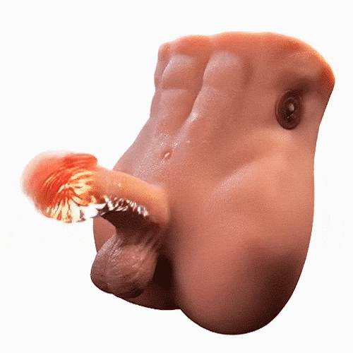 Herbert Pulse Male Torso Doll – 16.34 lb TPR Butt Model