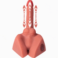 ST-TD-MP565 Michael Pulse Male Torso Doll – Compact TPR Butt Model