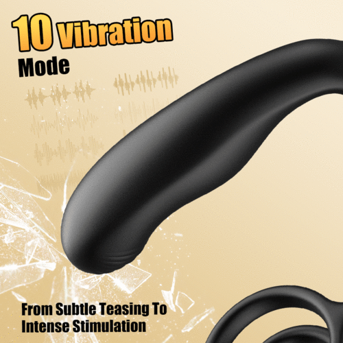 Leonard R10 Rotating Prostate Massager with 360° Motion & Dual Support Rings