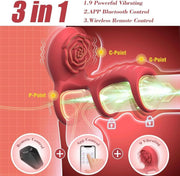 Three-in-one triple-ring vibrator feature overview